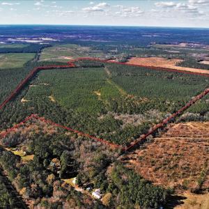 Photo #7 of SOLD property in off Oak Hill Rd and Rt. 40, Waverly, VA 234.0 acres