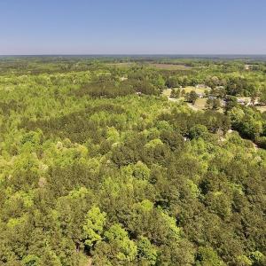 Photo #12 of SOLD property in Off Julie McKnight Rd, Kittrell, NC 16.6 acres