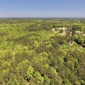 Photo #12 of SOLD property in Off Julie McKnight Rd, Kittrell, NC 16.6 acres