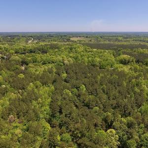 Photo #14 of SOLD property in Off Julie McKnight Rd, Kittrell, NC 16.6 acres