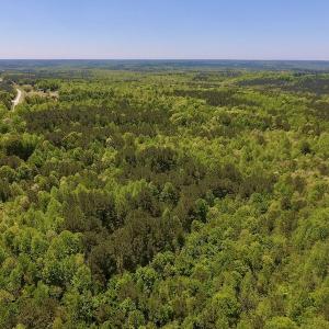 Photo #17 of SOLD property in Off Julie McKnight Rd, Kittrell, NC 16.6 acres