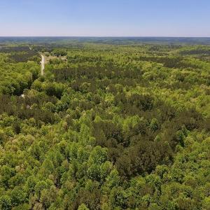 Photo #18 of SOLD property in Off Julie McKnight Rd, Kittrell, NC 16.6 acres