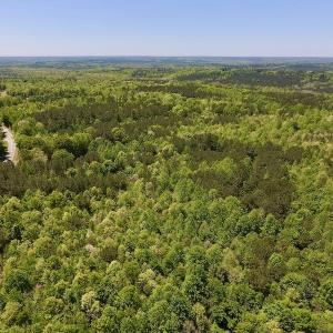 Photo #19 of SOLD property in Off Julie McKnight Rd, Kittrell, NC 16.6 acres