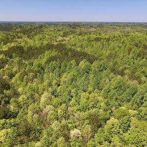 Photo #22 of SOLD property in Off Julie McKnight Rd, Kittrell, NC 16.6 acres
