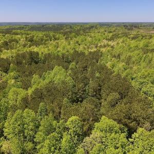 Photo #23 of SOLD property in Off Julie McKnight Rd, Kittrell, NC 16.6 acres