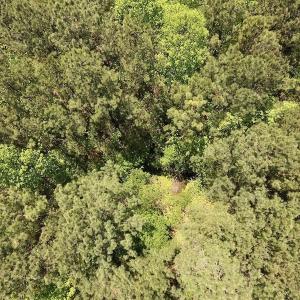 Photo #24 of SOLD property in Off Julie McKnight Rd, Kittrell, NC 16.6 acres