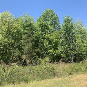 Photo #30 of SOLD property in Off Julie McKnight Rd, Kittrell, NC 16.6 acres