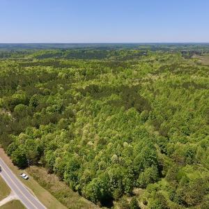 Photo #4 of SOLD property in Off Julie McKnight Rd, Kittrell, NC 16.6 acres