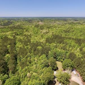 Photo #8 of SOLD property in Off Julie McKnight Rd, Kittrell, NC 16.6 acres