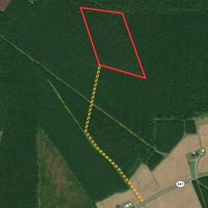 Photo #1 of SOLD property in Off Hwy 561, Saint John, NC 17.7 acres