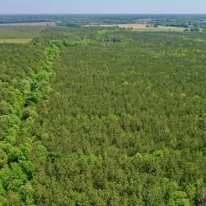 Photo #11 of SOLD property in Off Hwy 561, Saint John, NC 17.7 acres