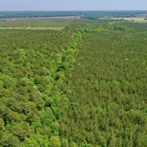 Photo #15 of SOLD property in Off Hwy 561, Saint John, NC 17.7 acres