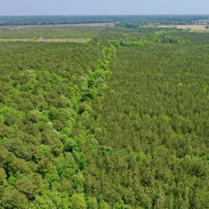 Photo #15 of SOLD property in Off Hwy 561, Saint John, NC 17.7 acres