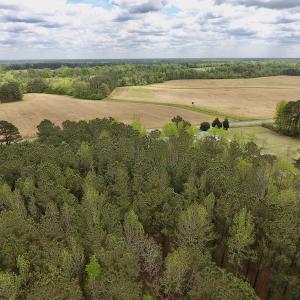Photo #10 of SOLD property in Off Piney Woods Road , Halifax, NC 3.3 acres