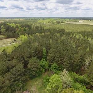 Photo #12 of SOLD property in Off Piney Woods Road , Halifax, NC 3.3 acres