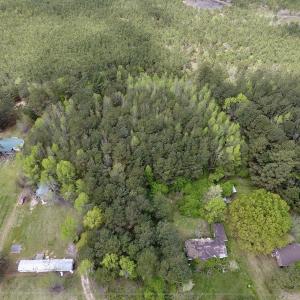 Photo #13 of SOLD property in Off Piney Woods Road , Halifax, NC 3.3 acres
