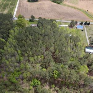 Photo #15 of SOLD property in Off Piney Woods Road , Halifax, NC 3.3 acres
