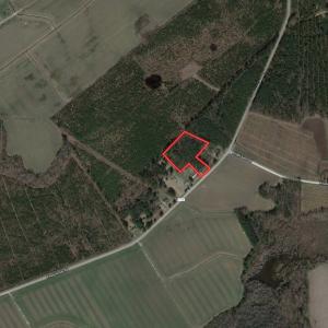 Photo #2 of SOLD property in Off Piney Woods Road , Halifax, NC 3.3 acres
