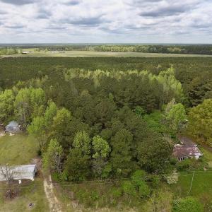 Photo #3 of SOLD property in Off Piney Woods Road , Halifax, NC 3.3 acres