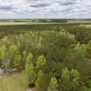 Photo #4 of SOLD property in Off Piney Woods Road , Halifax, NC 3.3 acres