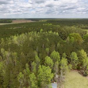 Photo #6 of SOLD property in Off Piney Woods Road , Halifax, NC 3.3 acres
