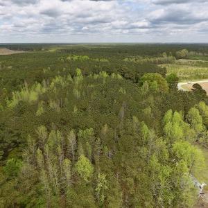 Photo #7 of SOLD property in Off Piney Woods Road , Halifax, NC 3.3 acres