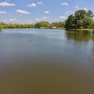 Photo #18 of SOLD property in Off Silver Lake Drive  , Warsaw, NC 22.2 acres