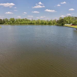 Photo #21 of SOLD property in Off Silver Lake Drive  , Warsaw, NC 22.2 acres