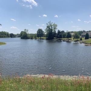 Photo #22 of SOLD property in Off Silver Lake Drive  , Warsaw, NC 22.2 acres