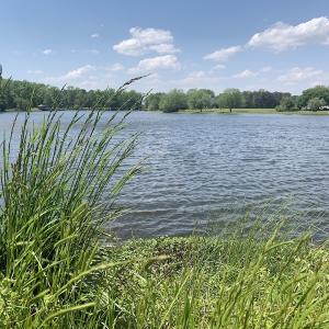 Photo #23 of SOLD property in Off Silver Lake Drive  , Warsaw, NC 22.2 acres