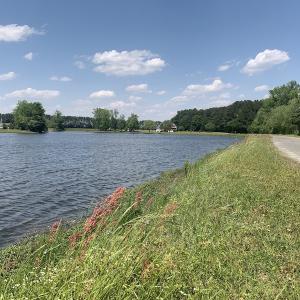 Photo #24 of SOLD property in Off Silver Lake Drive  , Warsaw, NC 22.2 acres