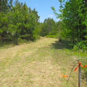 Photo #3 of SOLD property in  Off Dill Rd , Suffolk, VA 5.0 acres