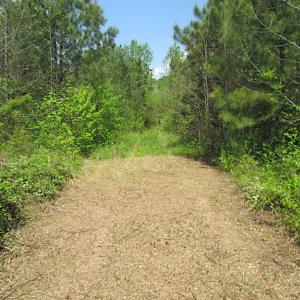 Photo #5 of SOLD property in  Off Dill Rd , Suffolk, VA 5.0 acres