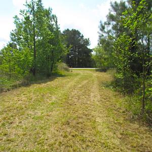 Photo #6 of SOLD property in  Off Dill Rd , Suffolk, VA 5.0 acres