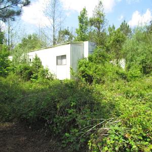 Photo #7 of SOLD property in  Off Dill Rd , Suffolk, VA 5.0 acres