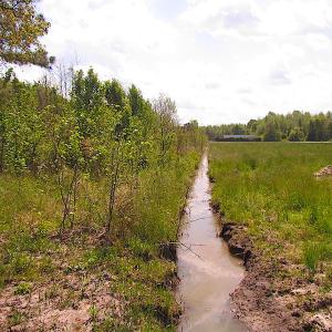 Photo #13 of SOLD property in  Off Dill Rd , Suffolk, VA 5.0 acres