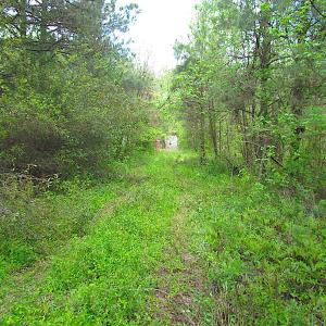Photo #21 of SOLD property in  Off Dill Rd , Suffolk, VA 5.0 acres