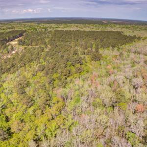 Photo #10 of SOLD property in Off Johnsontown Road  , Elizabethtown, NC 16.6 acres
