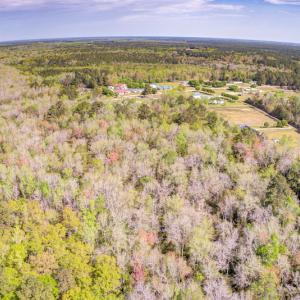 Photo #11 of SOLD property in Off Johnsontown Road  , Elizabethtown, NC 16.6 acres