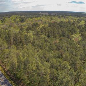 Photo #12 of SOLD property in Off Johnsontown Road  , Elizabethtown, NC 16.6 acres