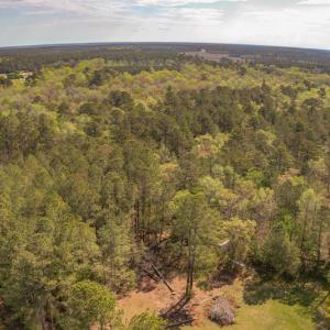 Photo #13 of SOLD property in Off Johnsontown Road  , Elizabethtown, NC 16.6 acres