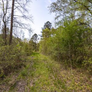 Photo #14 of SOLD property in Off Johnsontown Road  , Elizabethtown, NC 16.6 acres