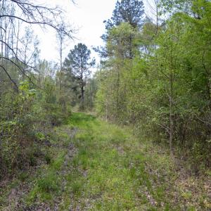 Photo #15 of SOLD property in Off Johnsontown Road  , Elizabethtown, NC 16.6 acres
