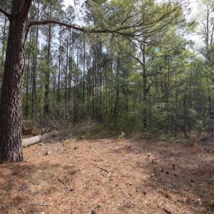 Photo #18 of SOLD property in Off Johnsontown Road  , Elizabethtown, NC 16.6 acres