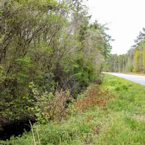 Photo #19 of SOLD property in Off Johnsontown Road  , Elizabethtown, NC 16.6 acres