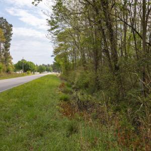 Photo #20 of SOLD property in Off Johnsontown Road  , Elizabethtown, NC 16.6 acres