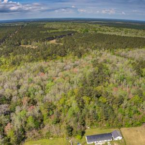 Photo #4 of SOLD property in Off Johnsontown Road  , Elizabethtown, NC 16.6 acres