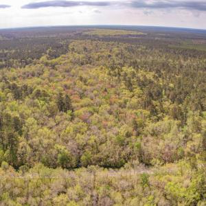 Photo #6 of SOLD property in Off Johnsontown Road  , Elizabethtown, NC 16.6 acres