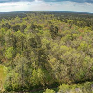 Photo #7 of SOLD property in Off Johnsontown Road  , Elizabethtown, NC 16.6 acres