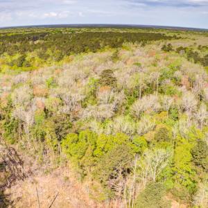 Photo #9 of SOLD property in Off Johnsontown Road  , Elizabethtown, NC 16.6 acres